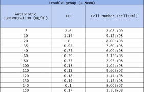 Free Business Plan Imeline Emplate Gantt Chart Research