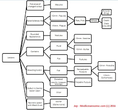 Medicowesome Different Types Of Skin Lesions As In Rashes