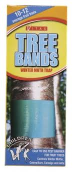 Maybe you would like to learn more about one of these? Vitax Fruit Tree Grease 200g Gtin Ean Upc 2200000011022 Cadastro De Produto Com Tributacao E Ncm Cosmos