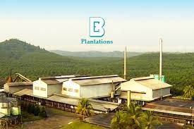 Research, news, share price information and investor relations on boustead plantations (bplant mk, bplant, bopl.kl, 5254.kl). Boustead Plantations Sinks Deeper Into The Red As 3q Losses Expand 57 On Year The Edge Markets