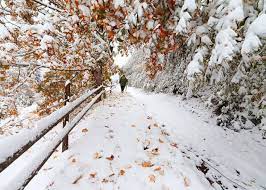 Ribut salji di new york. Iklim Dan Empat Musim Di Jepun Live Japan Jepun Travel Dan Pelancongan Dan Panduan Pengalaman