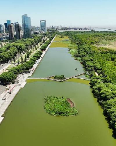 Reserva Ecológica Costanera Sur: un refugio climático en la Ciudad Ubicada en Puerto Madero, es un espacio elegido por vecinos y turistas para recorrer a pie, andar en bicicleta y realizar otros