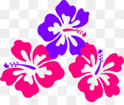 We clipart portal always come up with cliparts for free. Bunga Raya Png And Bunga Raya Transparent Clipart Free Download Cleanpng Kisspng
