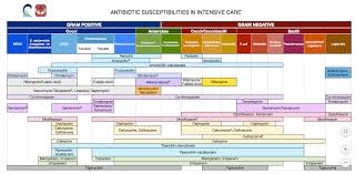 48 Systematic Antimicrobial Spectrum Of Activity Chart