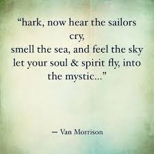 Birds Flying High Lyrics Karaoke Van Morrison Song Quotes Music Quotes Cool Words