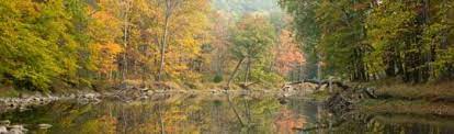 The wooded campground is just below the breast of the dam and has drinking water, rustic toilets and a sanitary. Campground Details Poe Paddy State Park Pa Pennsylvania State Parks