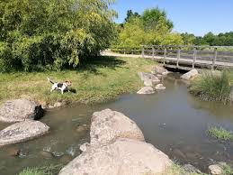 Une partie des bénéfices sera reversée à une association qui aide les enfants et familles de la région. Pessac Archives Lost In Bordeaux