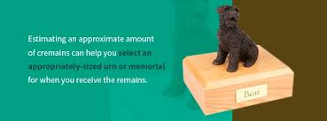 We didn't realize we would get it, but since we had him individually cremated, his ashes came back with a notorized certificate from the county, certifying that the ashes we received were his only. Everything You Need To Know About Pet Cremation Ashes Agape