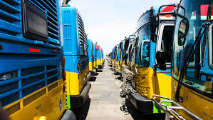 Image result for School Bus Yellow 2019 Transit