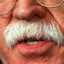 We would like to show you a description here but the site won't allow us. John Bolton And His Walrus Mustache Are The Gop S Only Hope Against Rand Paul