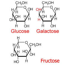 Structural formulas help identify the orientation and location of chemical bonds between the atoms of a molecule. What Are The Isomers In Relation To Glucose Galactose And Fructose Socratic