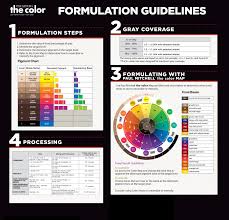Paul Mitchell The Color Formulation Guidelines In 2019