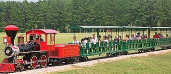 Dziecięce zoo see more ». What To Do At Hill Ridge Farms Summer Field Trips Train Rides Field Trip