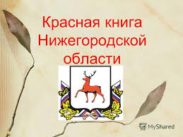 проект по окружающему миру 2 класс красная книга скачать бесплатно Prezentaciya Na Temu Prezentaciya K Uroku Po Okruzhayushemu Miru 3 Klass Po Teme Zhivotnye Krasnoj Knigi Nizhegorodskoj Oblasti Skachat Besplatno I Bez Registracii