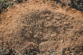 Lisateavet ada county weed & pest control kohta leiate veebisaidilt adacounty.id.gov. Are You Ada County Weed Pest And Mosquito Abatement Facebook