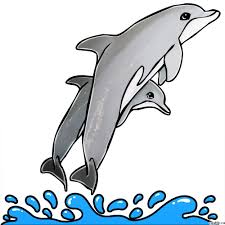In this drawing tutorial you will learn how to draw a computer mouse step by step|learn drawingif you find this video useful give a like.if you want a specia. Cartoon Dolphin Drawing In 4 Steps With Photoshop Dolphin Drawing Cartoon Dolphin Cute Dog Drawing