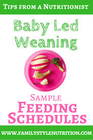Baby Led Weaning Sample Feeding Schedules Family Style