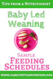 baby led weaning sample feeding schedules family style