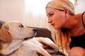Puoi creare e condividere la tua playlist riunendo video da diverse piattaforme. Immagini Stock Donna Con Cani Il Cane Da Una Zampa Alla Sua Padrona Di Sesso Femminile Sul Divano Petting Grazioso Felice Della Ragazza E Guardare Il Suo Cane Giallo Di Labrador