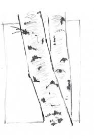 How To Draw Aspen And Steal Like An Artist Tree Drawings Pencil Aspen Trees Painting Tree Sketches