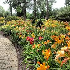 Pin By Franklin Park Conservatory And On Franklin Park Conservatory And Botanical Gardens Daylily Garden Day Lilies Garden Features