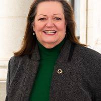 Utah House of Representatives District 38