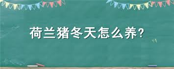 菲律賓 越南 馬來西亞 新加坡 緬甸 仰光分行. è·å…°çŒªå†¬å¤©æ€Žä¹ˆå…» åœŸæµç½'