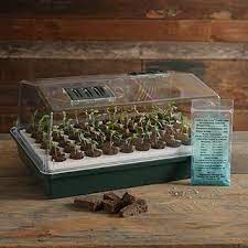 Park S Original Bio Dome Seed Starting System Seed Starter Seeds Seed Starting