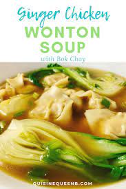Ginger Chicken Wonton Soup Recipe W Bok Choy Quisine Queen B Recipe Wonton Recipes Soup Recipes Wonton Soup