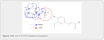 Image result for Schizozygia coffaeoides