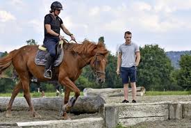 Après genève, un jeune cavalier rêve déjà des jo 2018 équitation. Un Nouveau Costume Pour Robin Godel Labroye Ch
