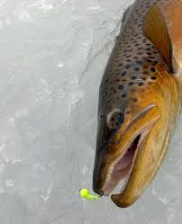Ice fishing new york
