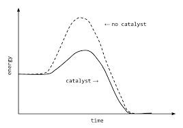 Activation Energy: The Chemistry Of Getting Started - Ness Labs