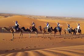 As a measure to prevent spam and reposts we are limiting the number of jokes a user can submit to 3 every 24 hours. Tripadvisor Sunset Camel Ride In Sahara Merzouga Desert Erg Chebbi Dunes Provided By Merzouga Dunes Draa Tafilalet