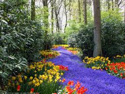Download hd wallpapers for free on unsplash. Spring Spring Flowers Wallpaper Free Spring Wallpaper Spring Wallpaper