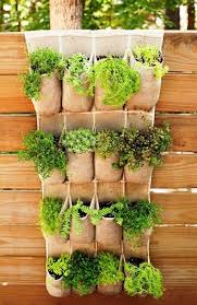 Diese 60 Diy Ideen Fur Hangende Garten Liegen Voll Im Trend Wohnideen Und Dekoration Gartenleiter Garten Garten Ideen