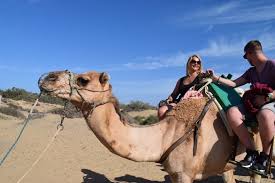 While you will, without a doubt, be uncomfortable at. Camel Ride In Gran Canaria Maspalomas Dunes 2021