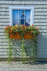 Get that traditional european look with one of our many heavy duty flower boxes, available in square and tapered designs. Window Boxes Best Flowers Plants Care Tips And Styling Ideas