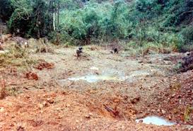 Image result for Grissette Brown Deep 1931 Lincoln