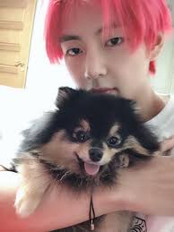 𝘴𝘯𝘢𝘱𝘤𝘩𝘢𝘵 𝘺𝘰𝘰𝘯𝘮𝘪𝘯 𝘱𝘢𝘶𝘴𝘢𝘥𝘢 kim yeontan taehyung and yeontan v dog