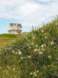 Les Plus Belles Maisons Des Iles De La Madeleine Annie Anywhere Iles De La Madeleine Ile Couleurs Maison