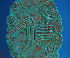 Bildergebnis für Werner Schreib