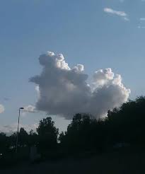 Amazing Nature Clouds That Look like Animals ... | Clouds, Amazing nature,  Nature