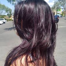 Midnight Purple Bangs Hair Color Purple Blackberry Hair Colour Hair