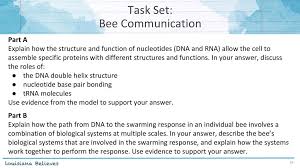 As the name suggests, they are a carrier of specific amino acids for coding to the growing end of the polypeptide chain during protein synthesis. Science Field Test Biology Webinar January Ppt Download