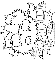 Coloring Pages Autumn Hedgehogs Coloring Pages For Autumn Coloring Hedgehogs Pages Malvorlagen Herbst Kindergarten Malvorlagen Herbst Ausmalvorlagen
