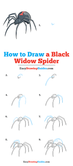 How to draw a black flying fox. How To Draw A Black Widow Spider Really Easy Drawing Tutorial