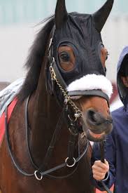 宝塚記念, 戸崎圭太, カレンブーケドール 27日に阪神 競 馬場 で行われる 宝塚記念 （g1）。 グランプリ 3連覇を狙う クロノジェネシス とデビューから無傷の6連勝で 大阪杯 （g1）を制した レイパパレ との対決は非常に楽しみである。 à¦Ÿ à¦‡à¦Ÿ à¦° Mat äº¬éƒ½11r äº¬éƒ½è¨˜å¿µ ã‚«ãƒ¬ãƒ³ãƒ–ãƒ¼ã‚±ãƒ‰ãƒ¼ãƒ« æ´¥æ'æ˜Žç§€é¨Žæ‰‹ äº¬éƒ½ç«¶é¦¬å ´ ã‚«ãƒ¬ãƒ³ãƒ–ãƒ¼ã‚±ãƒ‰ãƒ¼ãƒ« æ´¥æ'æ˜Žç§€ å›½æžåŽ©èˆŽ