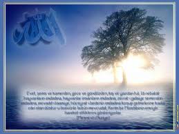 Türkçe 1600x1200 | Page 16 | Sorularla Risale