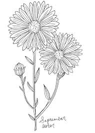 September Aster Art Print Birth Flower Print Aster Wall Etsy In 2020 Aster Flower Tattoos Birth Flowers Birth Flower Tattoos
